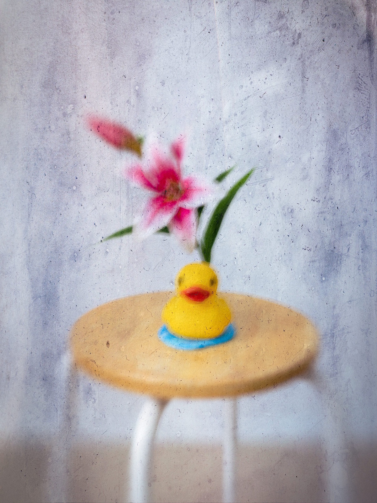 Enjoy The Little Things - Medium Format Photograph by Martin Nienberg