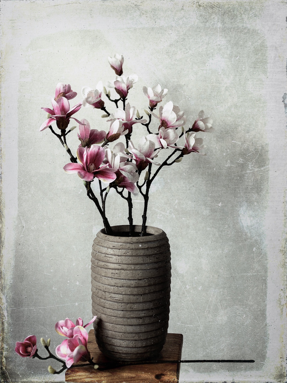 Wetplate Magnolia - - Medium Format Photograph by Martin Nienberg